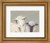 Sweet Lambs I Fine Art Print