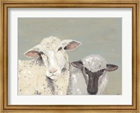 Sweet Lambs I Fine Art Print