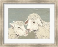 Sweet Lambs II Fine Art Print