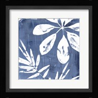 Tropical Indigo Impressions II Framed Print