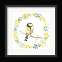 Solo Songbird II Framed Print