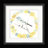 Solo Songbird III Framed Print