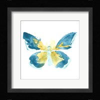 Butterfly Traces I Framed Print
