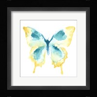 Butterfly Traces II Framed Print