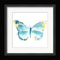 Butterfly Traces IV Framed Print