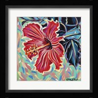 Hawaiian Beauty II Framed Print