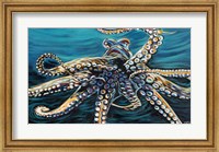 Wild Octopus II Fine Art Print