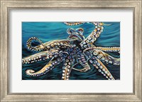 Wild Octopus II Fine Art Print