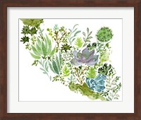 Succulent Field II Fine Art Print