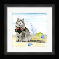 Summer Purr Party III Framed Print