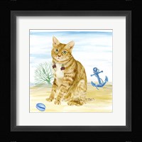 Summer Purr Party IV Framed Print