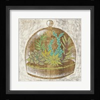 Glass Garden I Framed Print