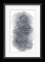 Rays II Framed Print