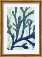 Sea Forest II Fine Art Print