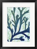 Sea Forest II Framed Print