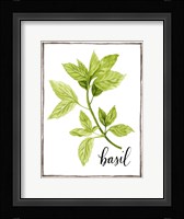Watercolor Herbs I Framed Print