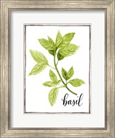 Watercolor Herbs I Fine Art Print