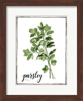 Watercolor Herbs II Fine Art Print