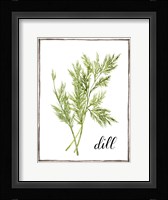Watercolor Herbs III Framed Print