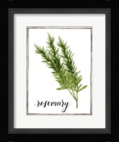 Watercolor Herbs V Framed Print