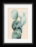 Cactus on Coral I Framed Print