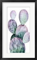 Purple Cactus II Framed Print