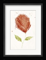 Boom Bloom II Framed Print