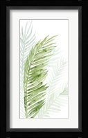 Faint Palms II Framed Print