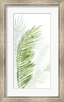 Faint Palms II Fine Art Print