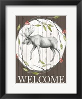 Woodland Walk II Framed Print