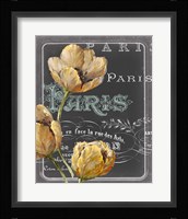 Chalkboard Paris II Framed Print