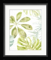 Island Medley II Framed Print