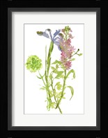 Summertime Daydream I Framed Print