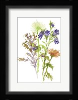 Summertime Daydream II Framed Print