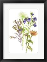 Summertime Daydream II Framed Print