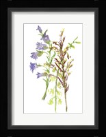 Summertime Daydream III Framed Print