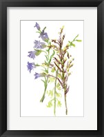 Summertime Daydream III Framed Print