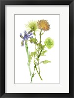 Summertime Daydream IV Framed Print