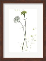Botany Flower III Fine Art Print