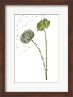 Botany Flower V Fine Art Print