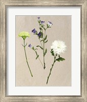 Pretty Pressed Flowers I Fine Art Print