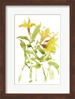 Watercolor Lilies I Fine Art Print