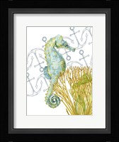 Undersea Creatures I Framed Print