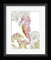 Undersea Creatures II Framed Print