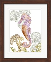 Undersea Creatures II Fine Art Print
