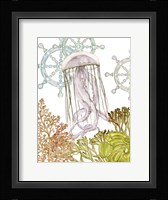 Undersea Creatures III Framed Print