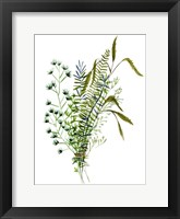 Green Bouquet II Framed Print