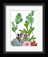 Little Garden I Framed Print
