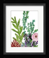Little Garden II Framed Print