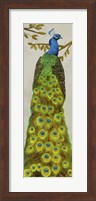 Vintage Peacock I Fine Art Print
